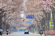 温岭共建“花园城市” 北京这场议政会“百花齐放”