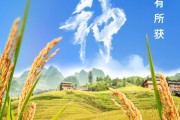 温岭芒种节气小知识来了 夏种作物都有什么？
