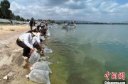 温岭云南江川举行增殖放流活动 逾54万尾鱼游入星云湖