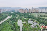 温岭西宁市举办六五环境日主题宣传活动